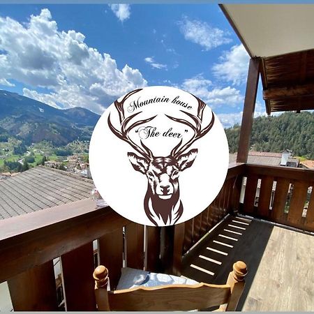 Appartamento Mountain House The Deer Tesero Esterno foto