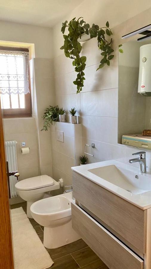 Appartamento Mountain House The Deer Tesero Esterno foto